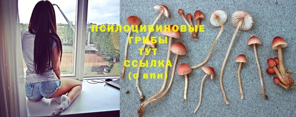 индика Балахна