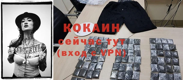 индика Балахна