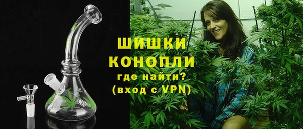 индика Балахна