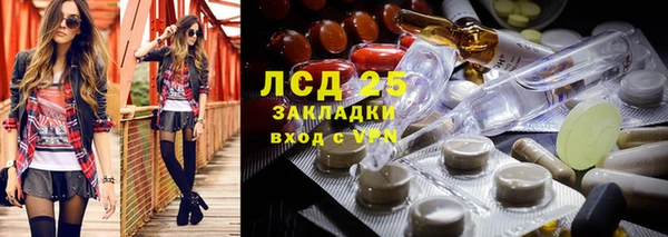 индика Балахна