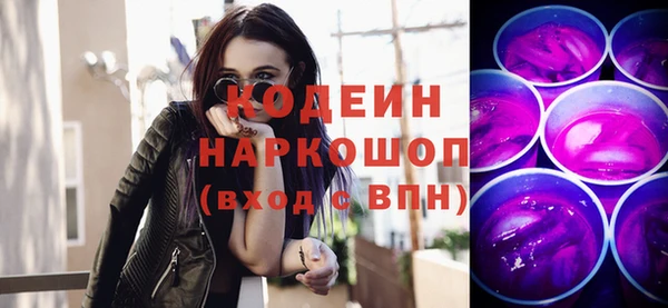 индика Балахна