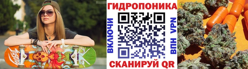 Бошки Шишки семена Кудымкар